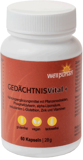 Gedächtnis vital